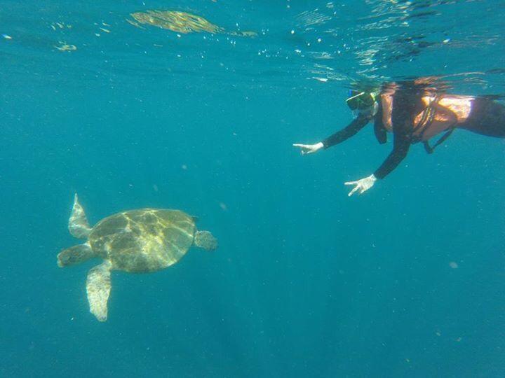 Sipadan Micro Dive Hotel Mabul Island Eksteriør billede